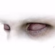 Avatar of Tino