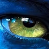Avatar of stefan riehmer
