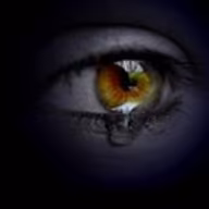 Avatar of Frank Schau