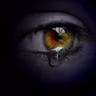 Avatar of Frank Schau