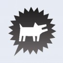 Avatar of Nicolas Stefanis