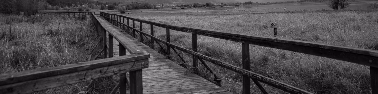 Cover photo of Michael Gisiger