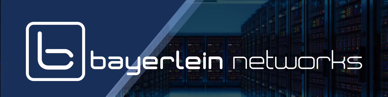 Cover photo of Ludwig Bayerlein