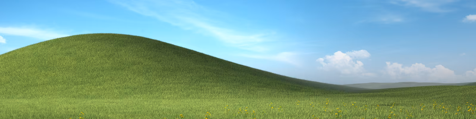Cover photo of Matthias Schmidt