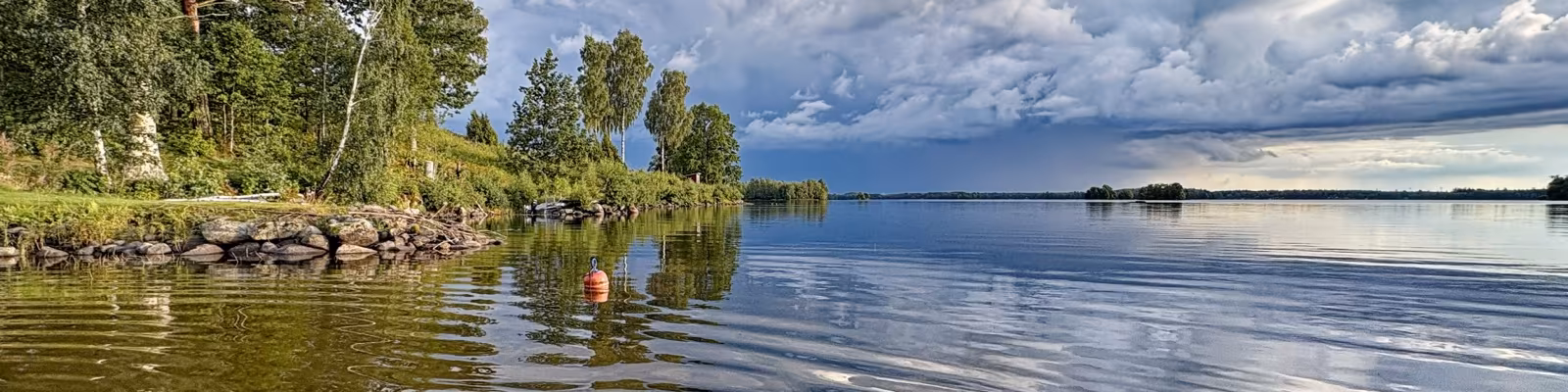 Cover photo of Markus Werle