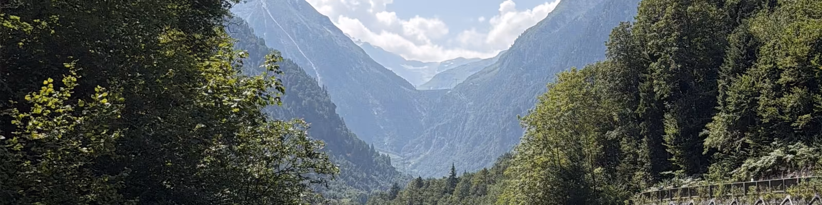 Cover photo of Alexander Lessing