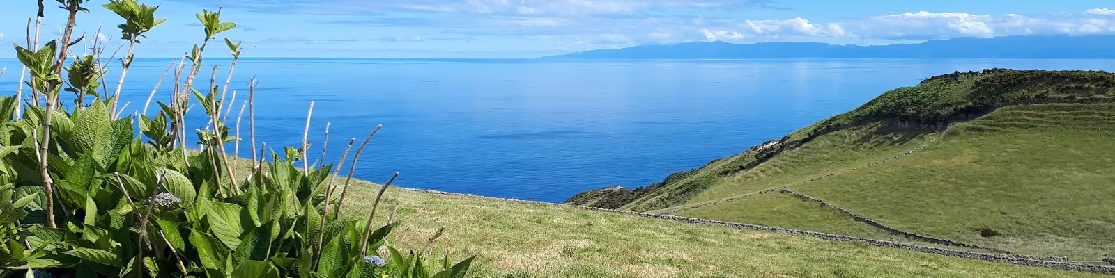 Cover photo of Ralf Simon