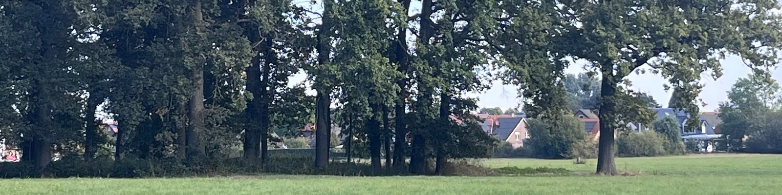 Cover photo of Christoph Brodesser