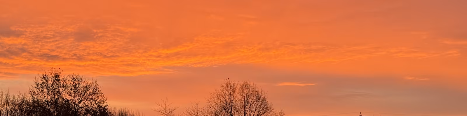 Cover photo of Yvonne Sitte