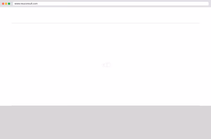 www.neuconsult.com