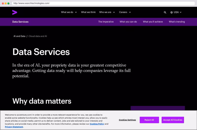Search Technologies Home Page