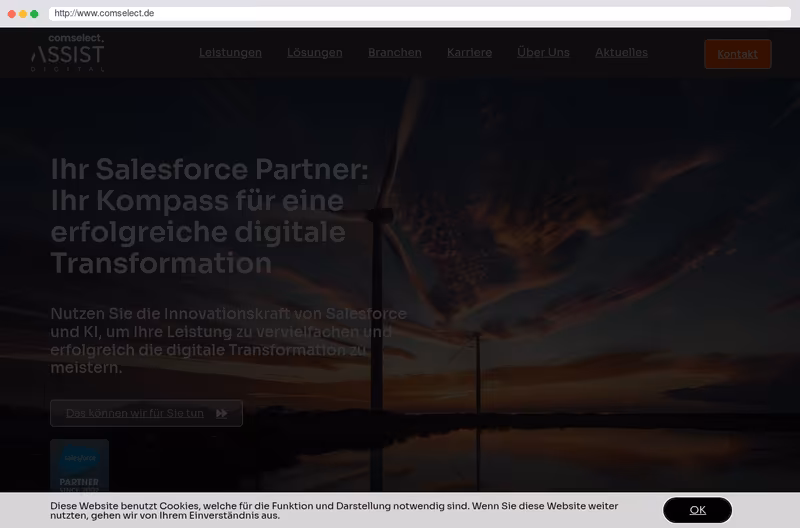 Salesforce CRM Beratung, Planung, Schulung, Integration