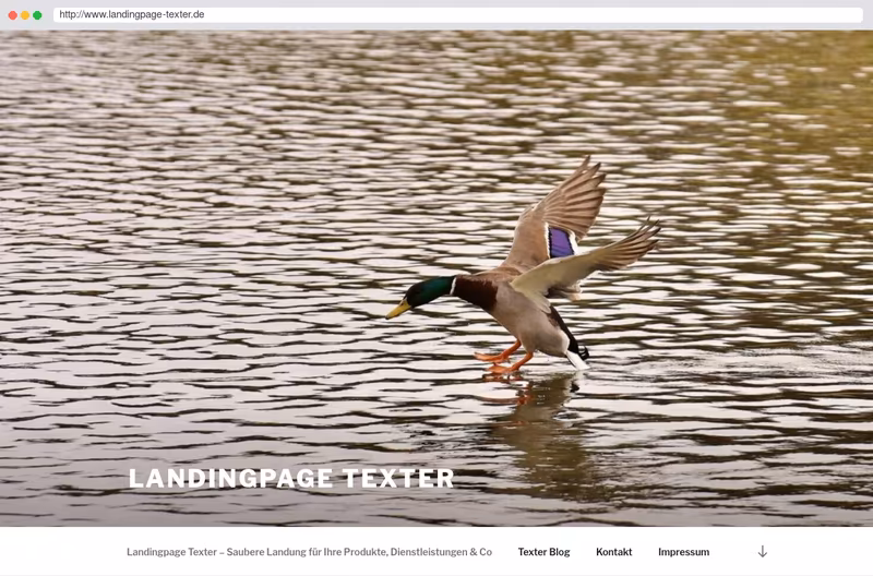 Landingpage Texter