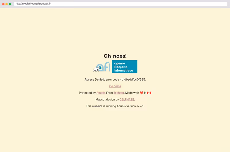 My library website