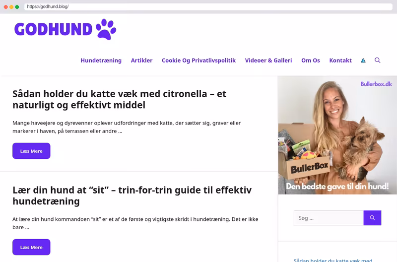 Alt i hunde og hundeguides