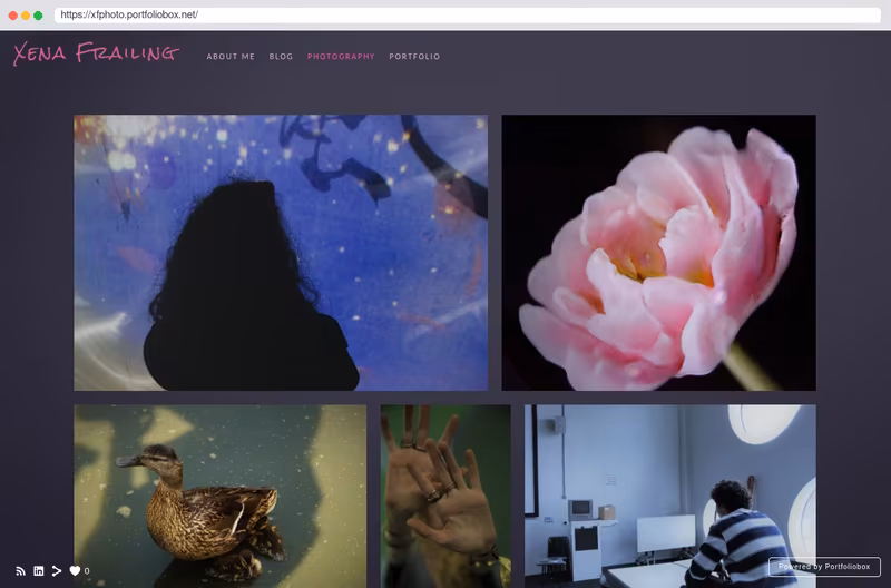My Personal Website