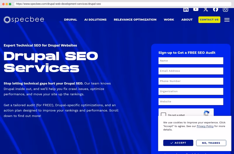 Drupal seo services