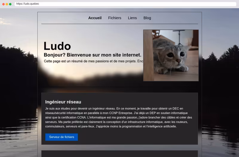 Site web